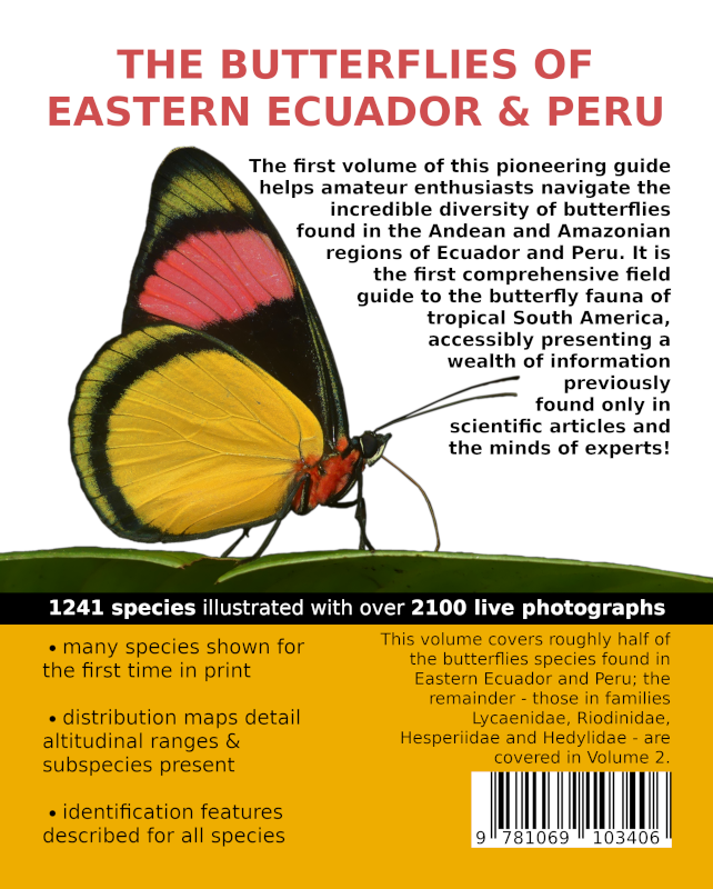 An Amateur's Guide to the Butterflies of Eastern Ecuador & Peru (Volume 1 - digital)