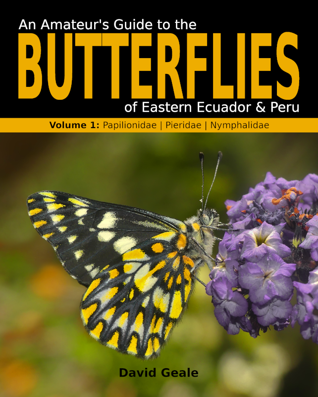 An Amateur's Guide to the Butterflies of Eastern Ecuador & Peru An Amateur's Guide to the Butterflies of Eastern Ecuador & Peru