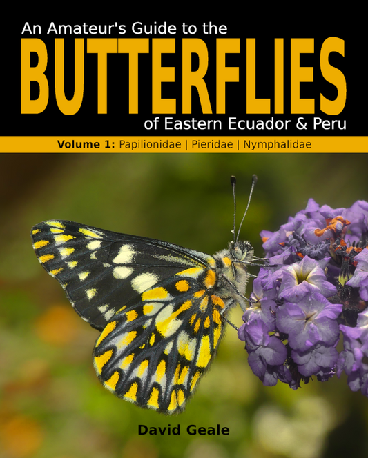 An Amateur's Guide to the Butterflies of Eastern Ecuador & Peru (Volume 1 - print)