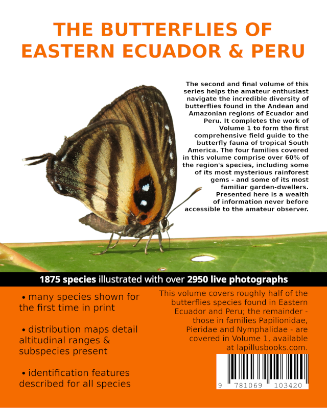 An Amateur's Guide to the Butterflies of Eastern Ecuador & Peru (Volume 2 - print)