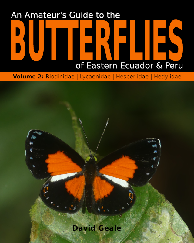 An Amateur's Guide to the Butterflies of Eastern Ecuador & Peru (Volume 2 - print)