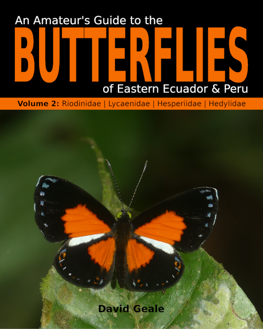 An Amateur's Guide to the Butterflies of Eastern Ecuador & Peru (Volume 2 - print)