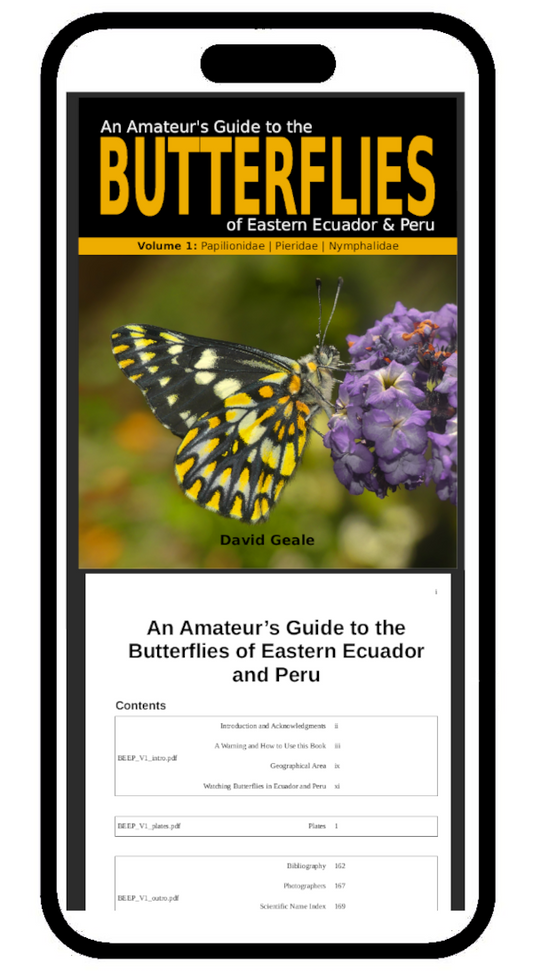 An Amateur's Guide to the Butterflies of Eastern Ecuador & Peru (Volume 1 - digital)