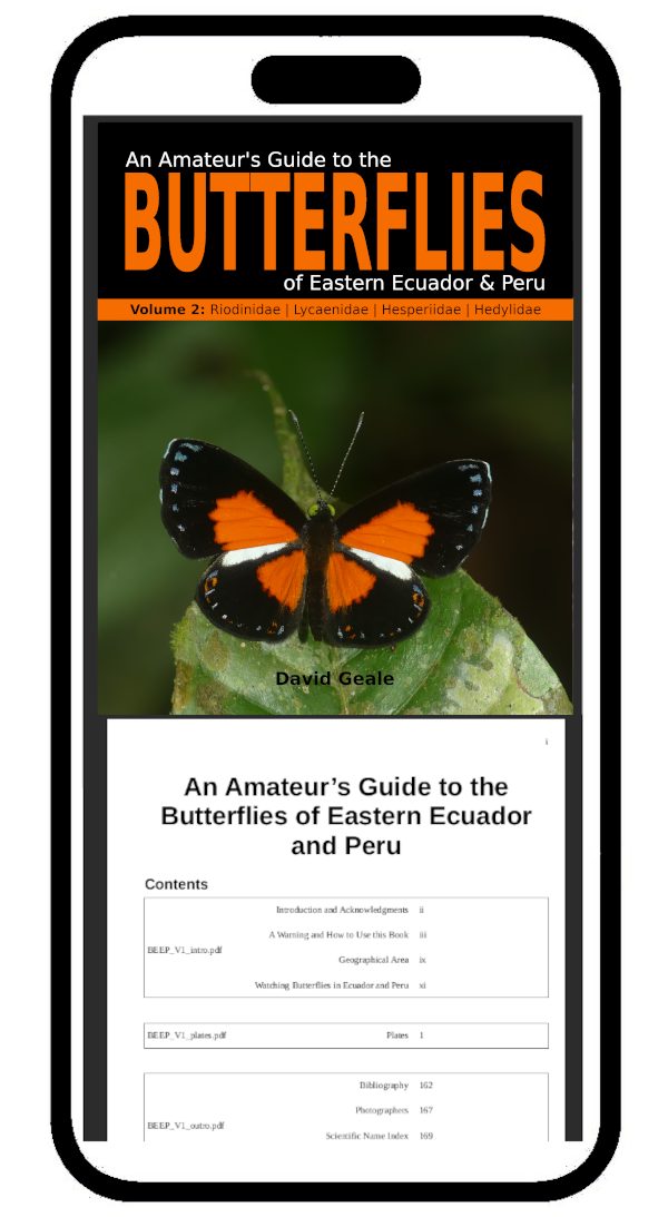 An Amateur's Guide to the Butterflies of Eastern Ecuador & Peru (Volume 2 - digital)